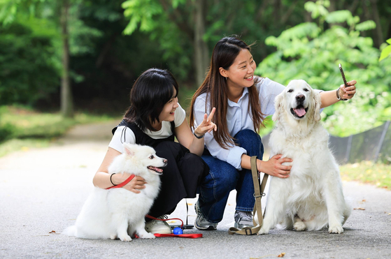 반려견을 키우는 사람이 많아지면서 반려견과 관련한 문화와 법률적 판단도 급변하고 있다. 연합뉴스