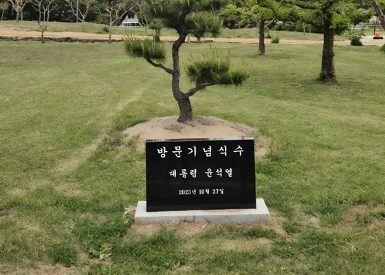2023년 10월 병산서원에 설치됐던 윤석열 전 대통령 방문기념식수 비석. 사진 독자, 연합뉴스