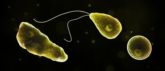 온천 다녀온 5세, 구토 후 혼수상태…치사율 97% '이것' 감염