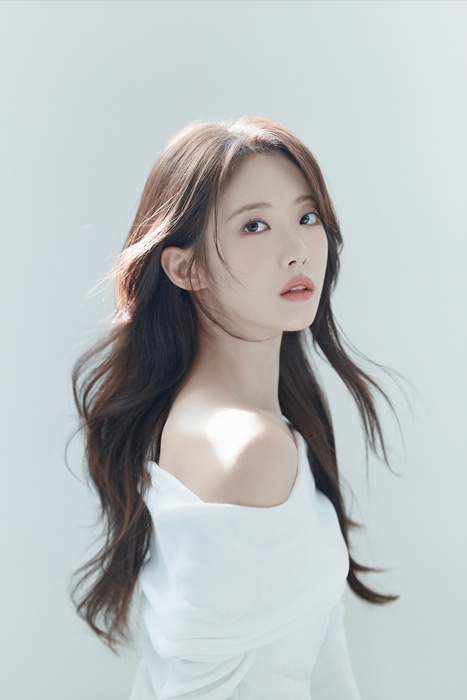 IHQ 제공