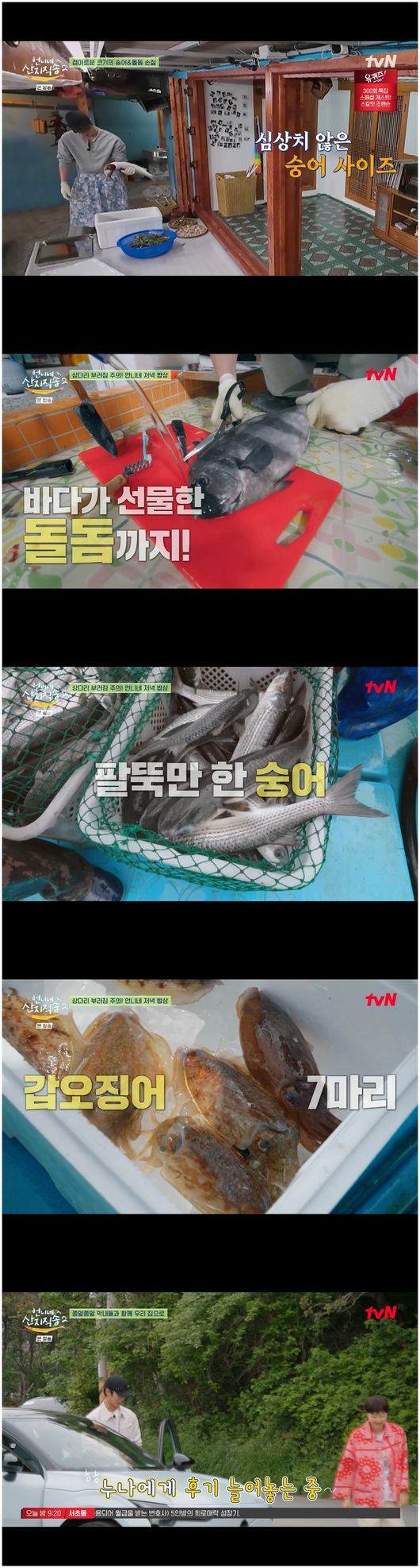 [사진]OSEN DB.