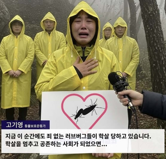 SNS 캡처