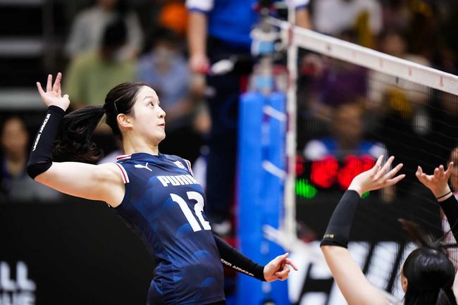 VNL 공식 홈페이지 