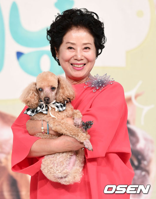 [OSEN=이대선 기자] 12일 오후 서울 영등포 타임스퀘어 아모리스홀에서 tvN '대화가 필요한 개냥' 제작발표회가 열렸다.배우 선우용여가 포토타임을 갖고 있다. /sunday@osen.co.kr
