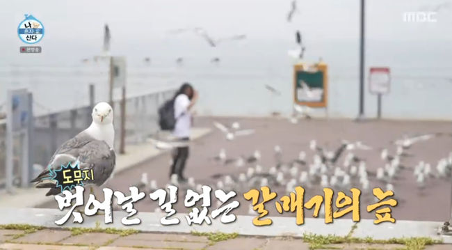 방송 화면 캡쳐