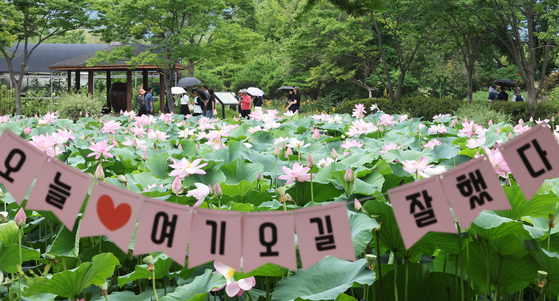 연합뉴스