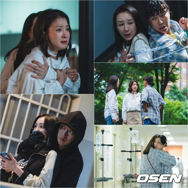[사진]OSEN DB.
