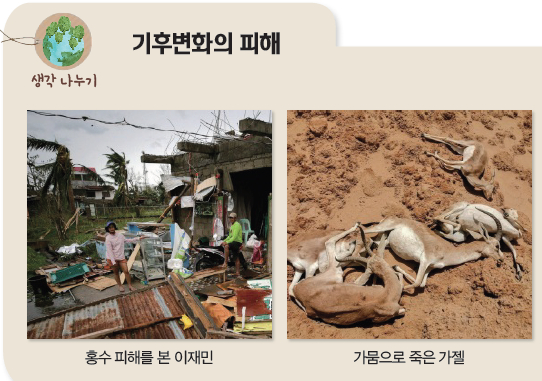 서울시교육청이 개발한 ‘기후변화와 우리’ 교과서에 실린 가뭄으로 죽은 가젤 사진. [사진 이동엽 교사]