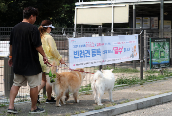 서울 마포구 월드컵공원에서 반려인들이 반려견과 함께 산책을 하고 있다. 뉴스1