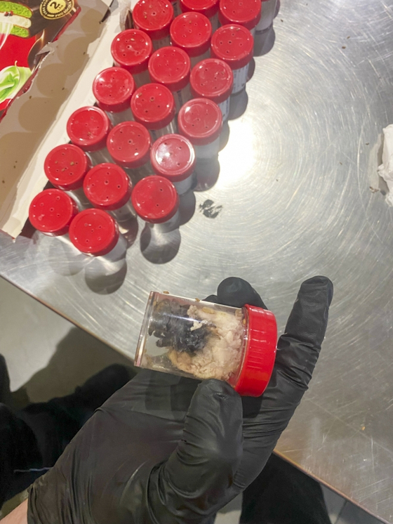 지난달 18일(현지시간) 독일 쾰른·본 공항에서 적발된 화물 속 새끼 타란툴라. AP=연합뉴스
