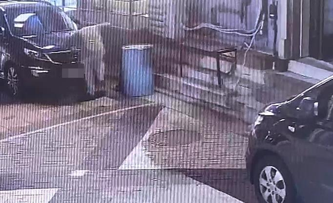 A씨가 길고양이를 학대하는 모습이 포착됐다. 사진 동물자유연대