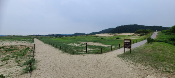 충남 태안군 신두리사구. 동서트레일에 포함된 구간이다. 사진 산림청 