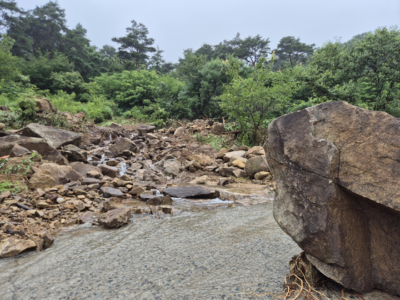 20일 오전 9시30분쯤 경남 산청군 산청읍 내리에 있는 마을 내부 임도에 바위와 뿌리째 뽑힌 나무 등이 나뒹굴고 있다. 김민주 기자 