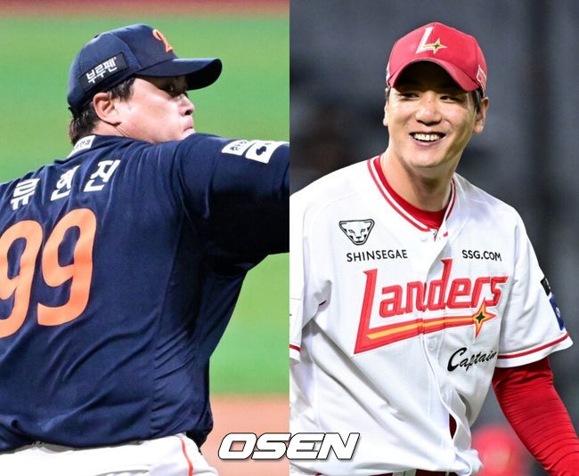 OSEN DB