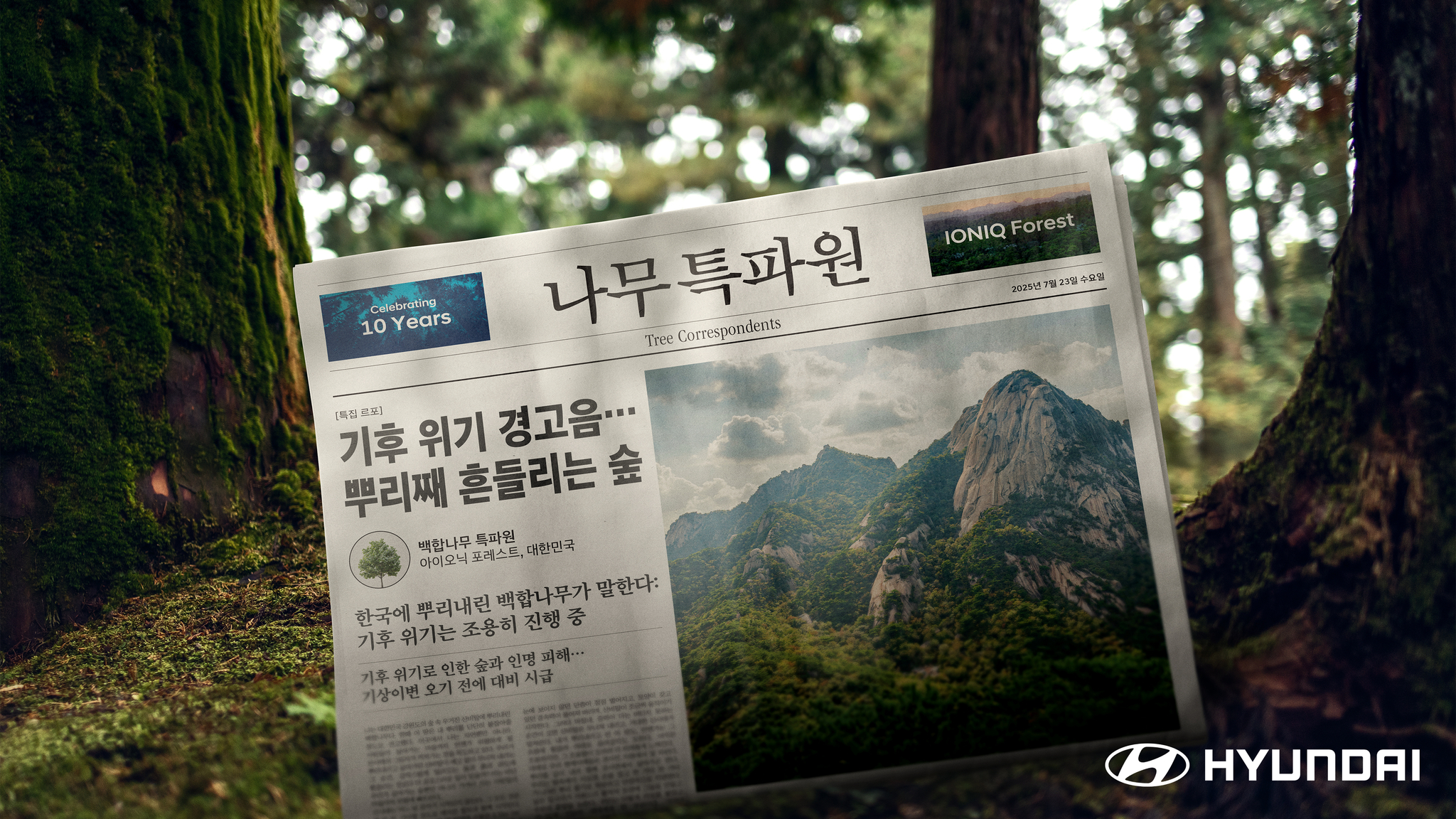 현대차가 대표 사회공헌 프로젝트 ‘아이오닉 포레스트’의 10주년을 기념해 새 캠페인 ‘나무 특파원’을 선보였다. 숲의 보존을 넘어 나무가 직접 목소리를 내는 ‘숲의 발화’ 개념을 제시해 주목받고 있다. 사진은 캠페인 대표 이미지. [사진 현대차]