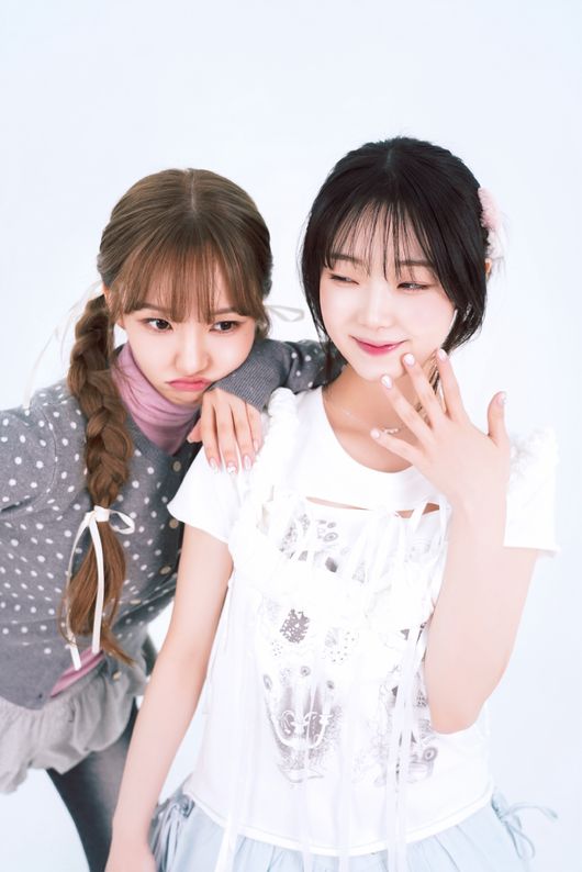 데이지뮤직 제공