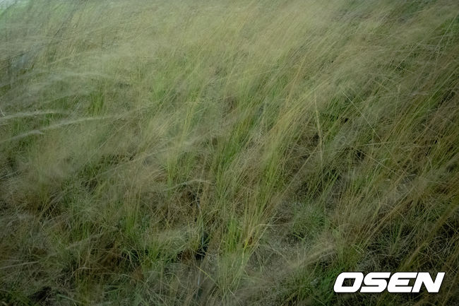 [사진]OSEN DB.