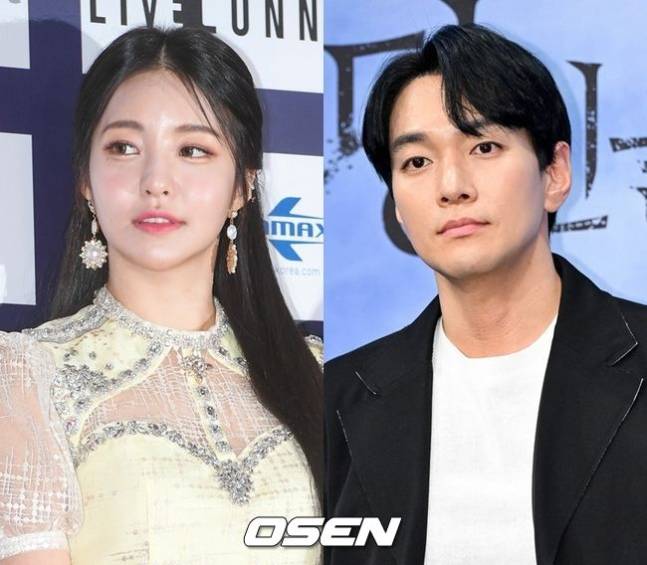 OSEN DB