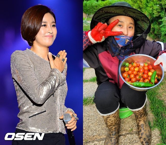 OSEN DB, 마야 SNS