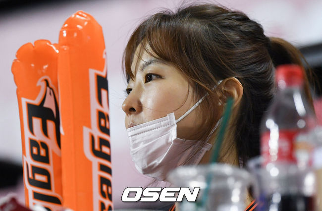 OSEN DB