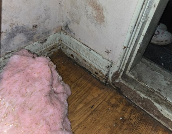 두 자녀와 함께 사는 장모씨 집이 노후해 곰팡이가 슬고 토사 등이 들어온 모습. 사진 장모씨