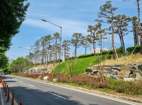서울 송파구 잠실대로 남단 관문녹지. [사진 서울시]