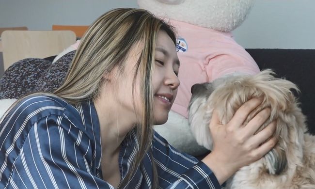 MBC 제공