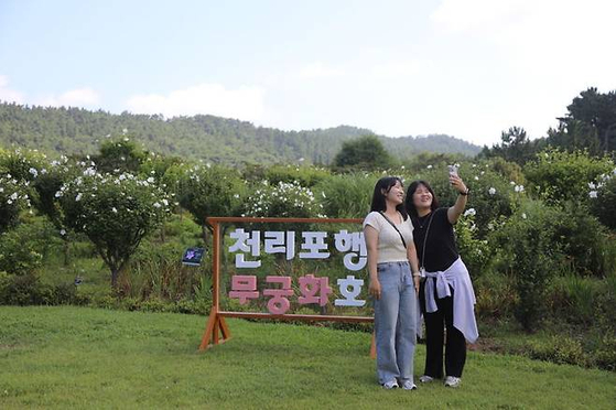 충남 태안의 천리포수목원은 광복 80주년을 맞아 14일부터 17일까지 무궁화 축제를 연다. 이 기간 비공개 정원 무궁화동산과 무궁퐈품종보전원이 개방된다. [사진 천리포수목원] 