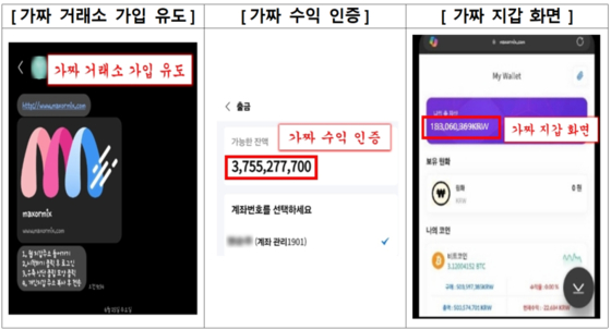 가상자산 투자사기 행태 및 특징. 금융감독원
