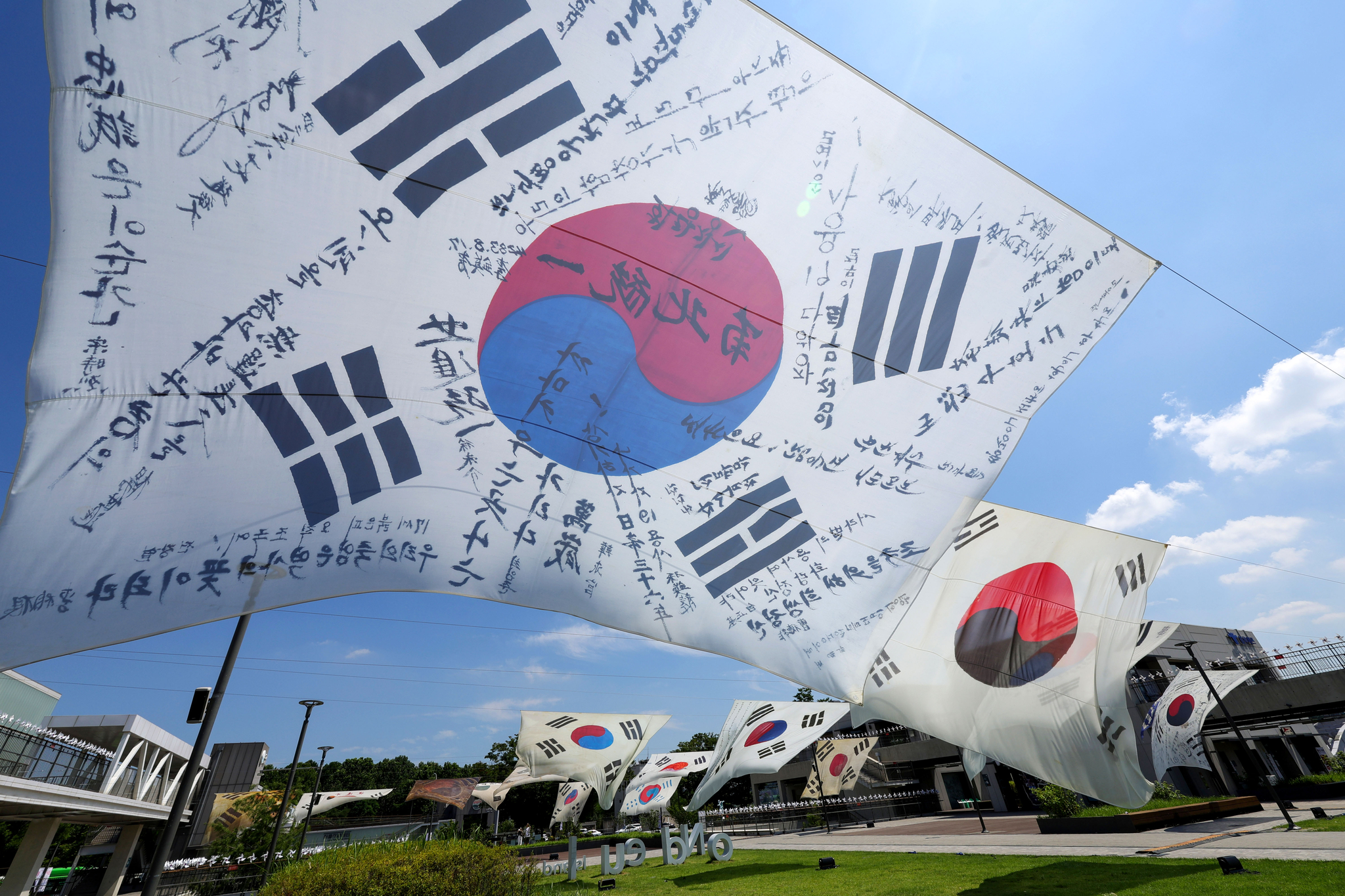 장진영 기자