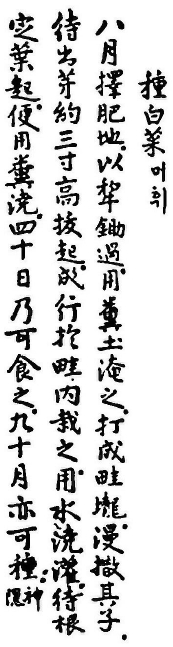 1716년 홍만선이 저술한 산림경제 수록 자료 중 머휘(머위) 부분. 사진 세계김치연구소