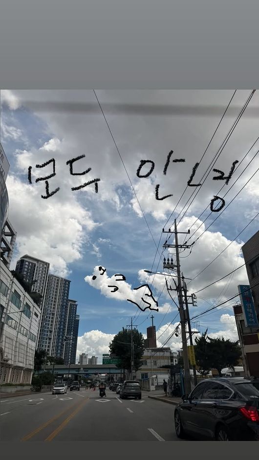 이효리 SNS