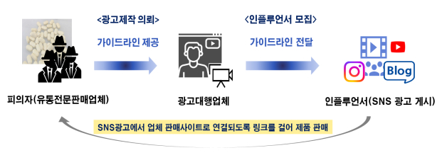 식약처에 불법 광고 및 판매로 적발된 업체 모식도. 자료 식약처