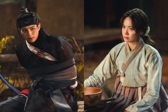 tvN 제공