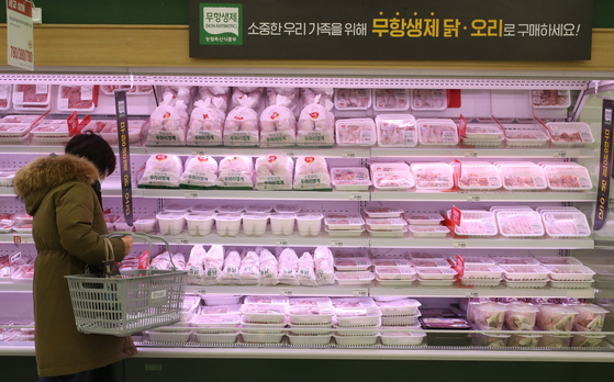 기사 이해를 돕기 위한 사진. 서울 시내 대형마트에 닭, 오리고기 판매대 모습. [연합뉴스]