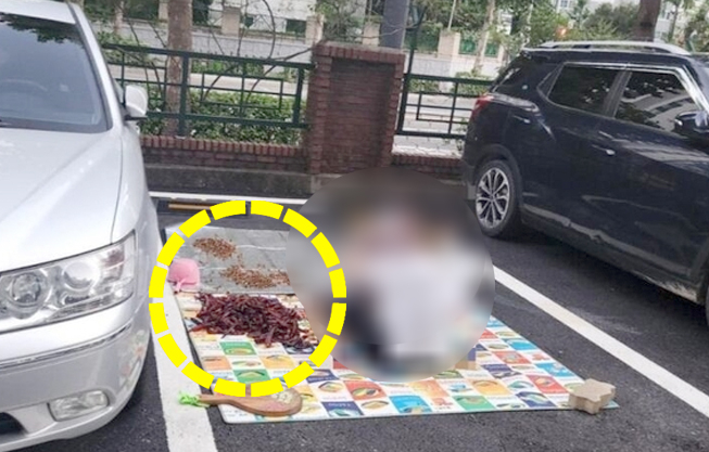 25일 온라인 커뮤니티에 올라온 주차장에서 고추 손질하는 여성. 사진 온라인 커뮤니티 캡처 
