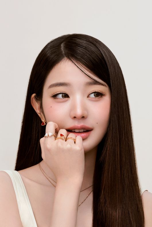 불가리 제공