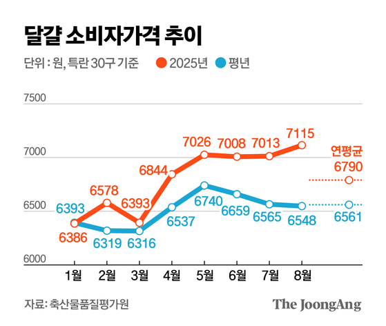 김영옥 기자