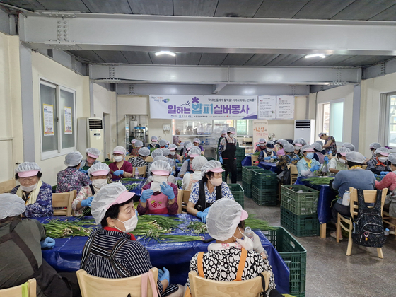 충북 보은의 일하는 밥퍼 작업장에서 참여자들이 쪽파를 손질하고 있다. 사진 충북도