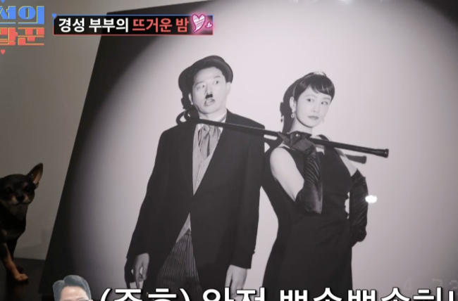 [사진]OSEN DB.