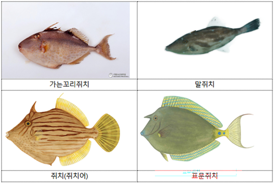 식품의약품안전처