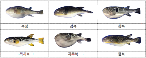 복어류 분류 매뉴얼. 식품의약품안전처