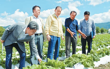 한국농수산식품유통공사 홍문표 사장(왼쪽 셋째)과 문인철 수급이사(왼쪽 둘째) 등 관계자들이 준고랭지 여름배추 시범재배 현장을 점검하고 있다. [사진 한국농수산식품유통공사]