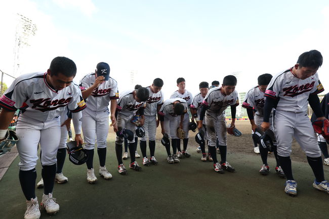 WBSC 공식 홈페이지 