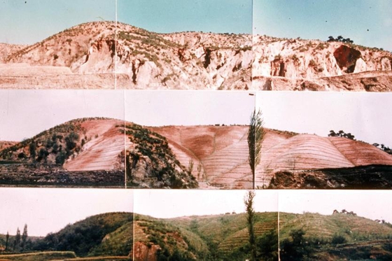 1973~1977년 포항 영일만 산림 복구 진행 상황 장면. 사진 문화재청 