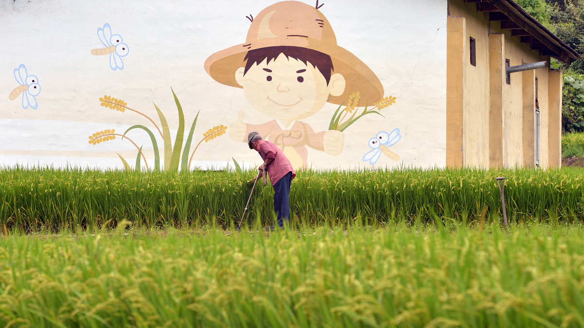 프리랜서 김성태