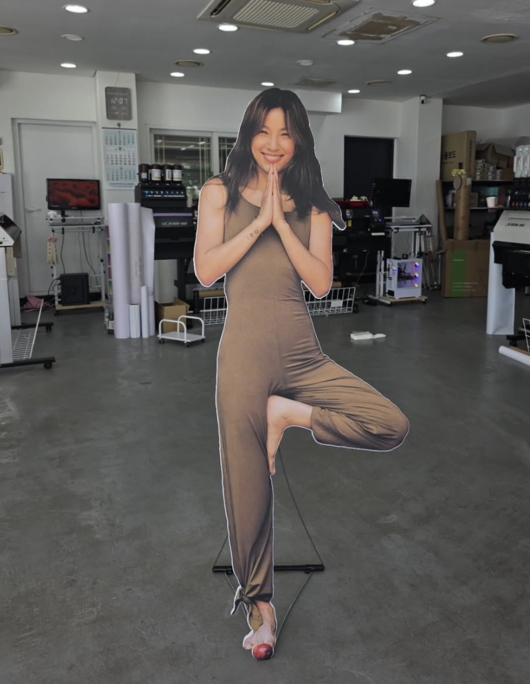 이효리 SNS