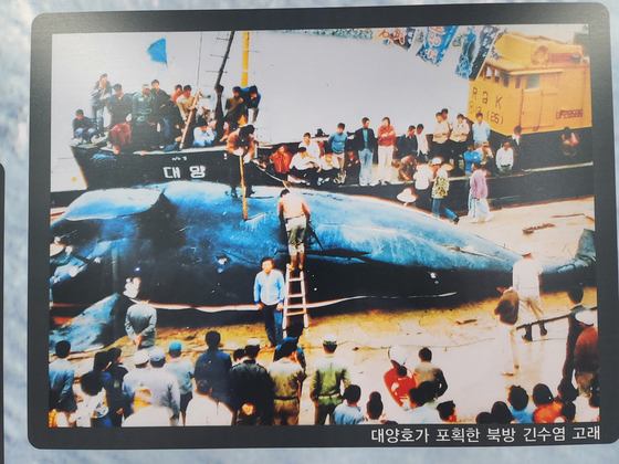 1986년 고래 포획이 금지되기 전에 이뤄졌던 고래 잡이. 울산 장생포항에 대양호가 포획한 북방 긴수염 고래가 등장했다. 사진 장생포고래문화마을, 중앙포토