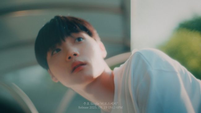 레이벡스 제공