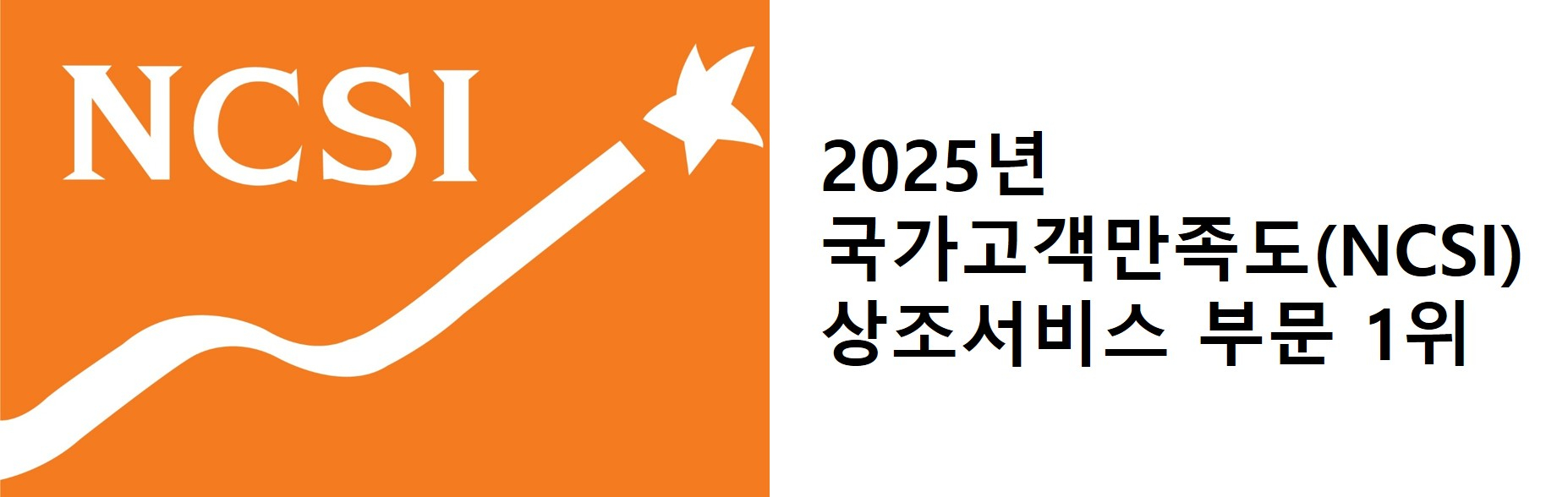 보람 NCSI